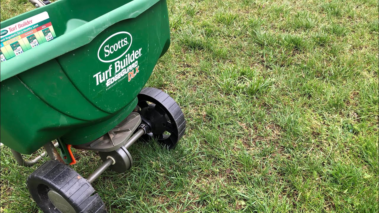 How To Overseed Your Yard – Lawn Care Basics