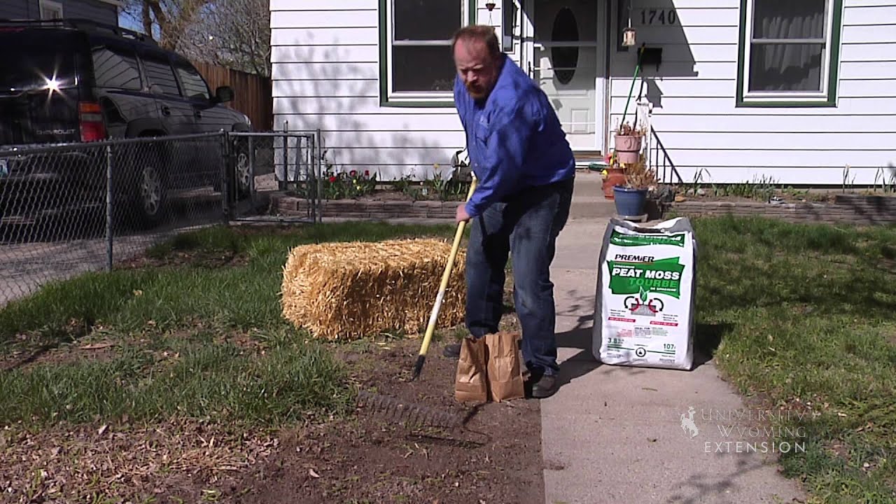 Planting Grass | From the Ground Up