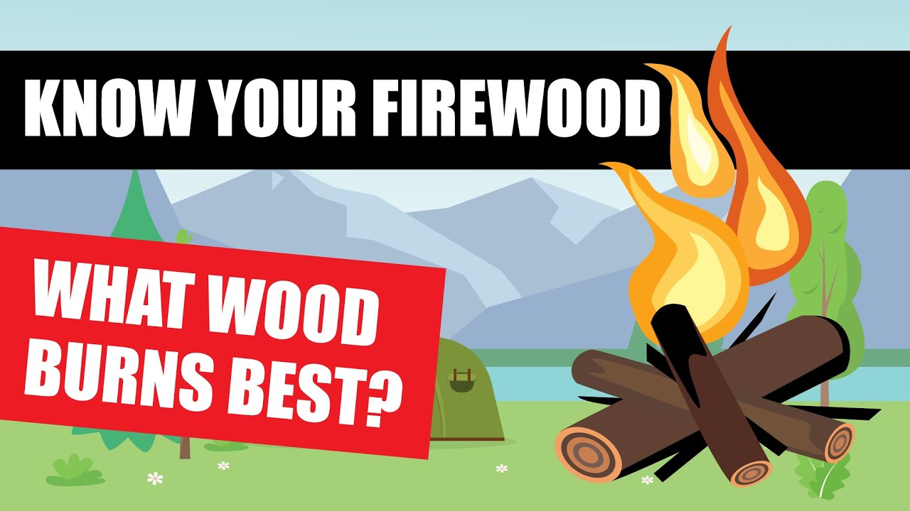 The BEST FIREWOOD TO BURN [Survival Skills To Keep You And Your Family Safe]