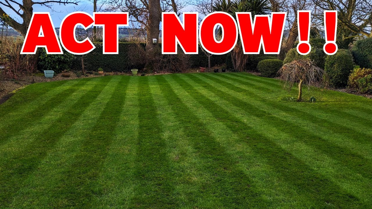 If you want a good lawn this spring do this NOW