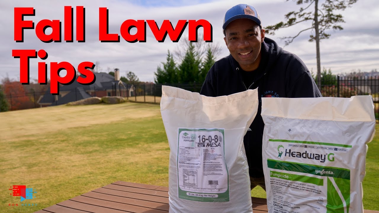 Fall Lawn Care – Easy Do’s and Don’ts for a Great Lawn