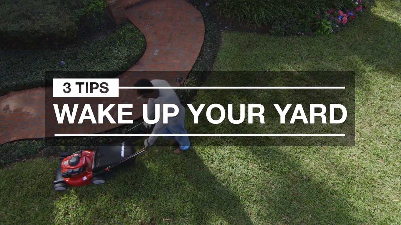 Lawn Care to Wake Up Your Yard: 3 Quick Tips for Spring